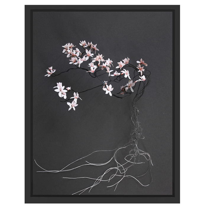 magnoliabonsai.jpg